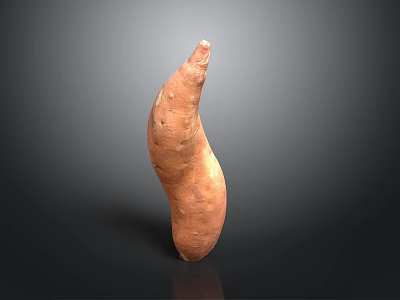 Single Fresh Sweet Potato With Natural Curved Shape And Healthy Organic Food 3d model