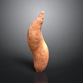 Single Fresh Sweet Potato With Natural Curved Shape And Healthy Organic Food