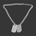 Silver Chain Necklace With Two Dog Tag Pendants And Link Design