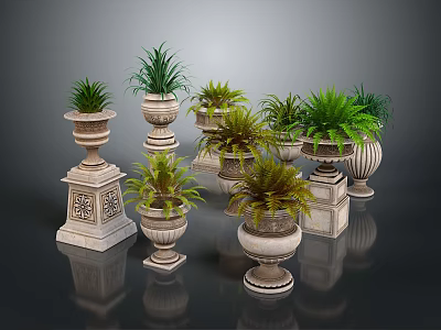 Green Plants in Various Decorative Planters with Different Designs and Heights on Dark Reflective Surface 3d model