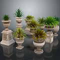 Green Plants in Various Decorative Planters with Different Designs and Heights on Dark Reflective Surface