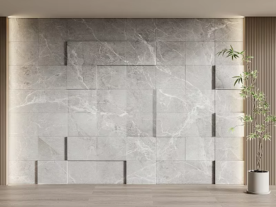 Modern Marble Textured Feature Wall With Geometric Panel Design And Potted Plant 3d model