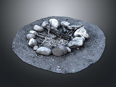 Plant Branches in Circular Stone Fire Pit with Ash and Dirt Ground 3d model