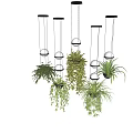 Trailing Green Hanging Basket Plants With Lush Foliage And Hanging Pendant Lights