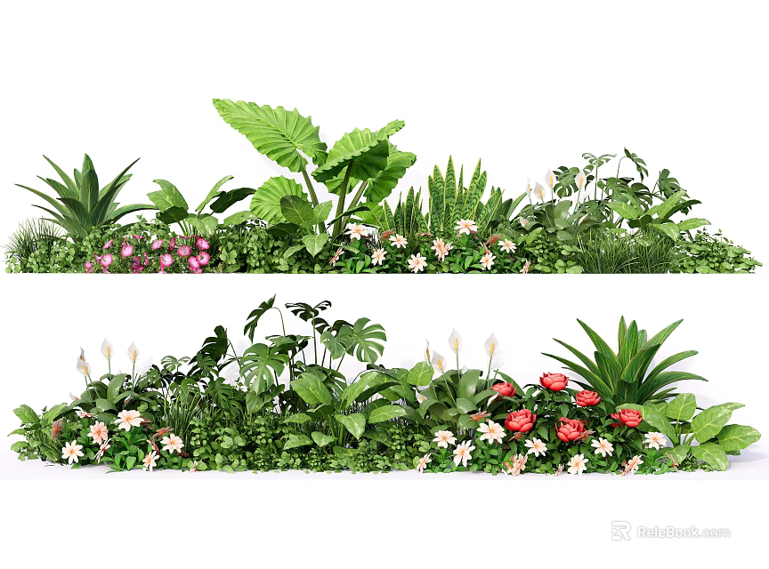 Vibrant Flowers and Green Plants with Large Leaves and Diverse Blooms 3d model 