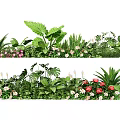 Vibrant Flowers and Green Plants with Large Leaves and Diverse Blooms