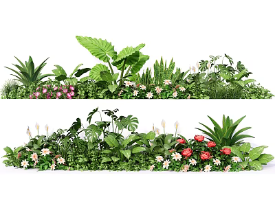 Vibrant Flowers and Green Plants with Large Leaves and Diverse Blooms 3d model