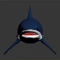 Realistic Blue Shark Model With Smooth Surface And Dark Background Reflection 3d model