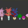 Slender Green Plants in Various White Flower Pots for Modern Indoor Decor