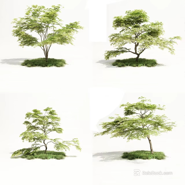 Charming Tree House Design With Various Tree Shapes And Green Grass Ground 3d model 