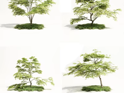 Charming Tree House Design With Various Tree Shapes And Green Grass Ground 3d model
