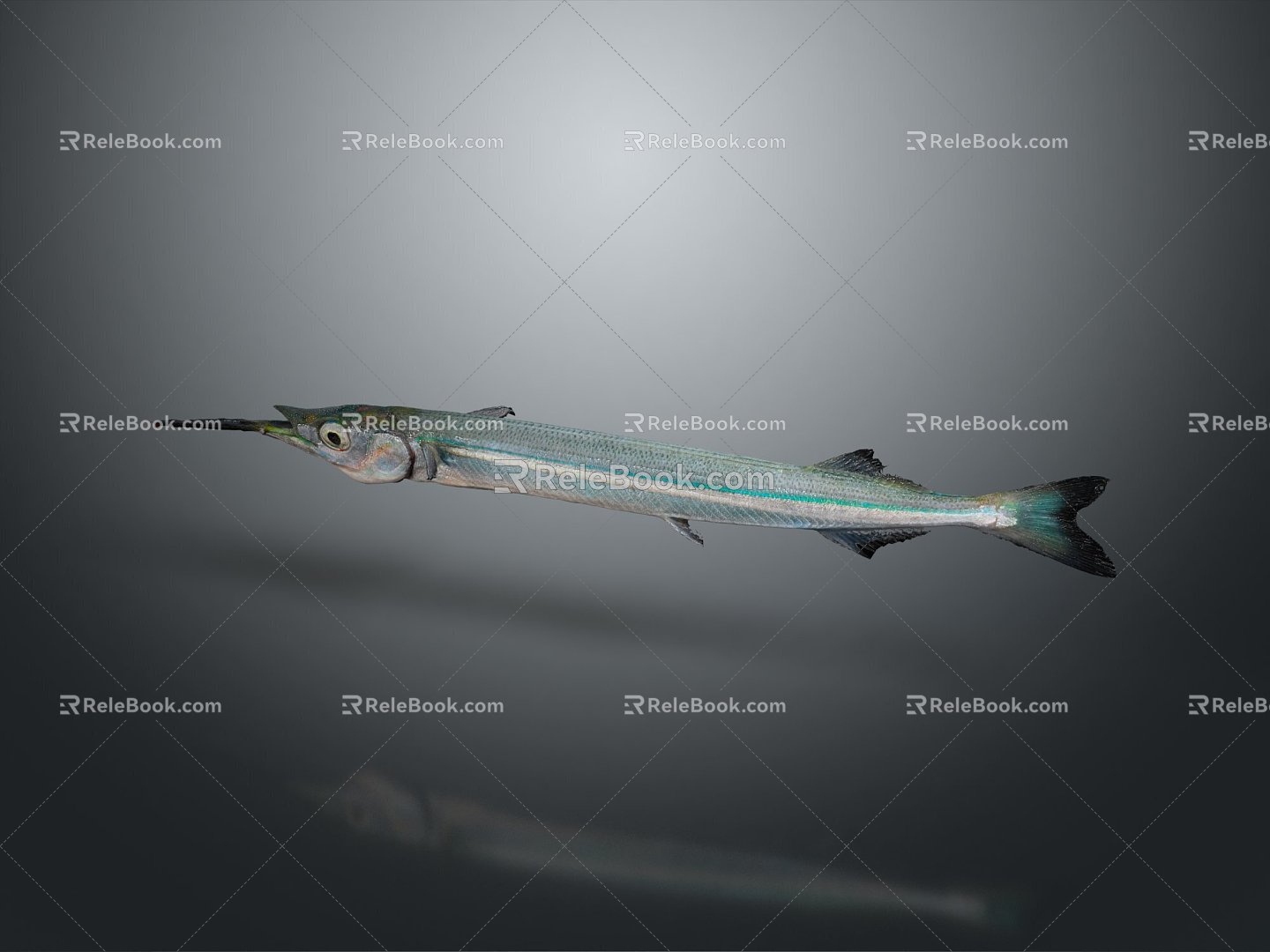 Needle fish freshwater fish marine fish 3d model