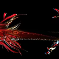 Commercial Equipment Featuring Metallic Dragon Head With Blue Red Glossy Finish And Intricate Design