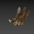 Brown Branched Marine Organism With Detailed Textured Surface And Natural Structure