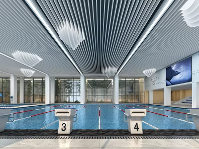 Modern Indoor Swimming Pool With Lanes Starting Blocks And Modern Ceiling 3d model