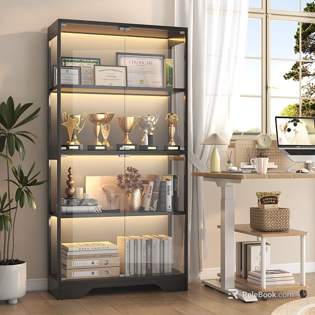 Trophies and Medals Display on Modern Shelf in Bright Study Room with Certificates and Books 3d model 