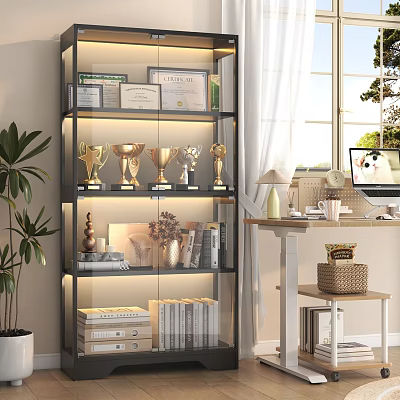 Trophies and Medals Display on Modern Shelf in Bright Study Room with Certificates and Books 3d model