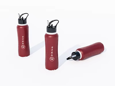 Old sports water bottle water cup 3d model