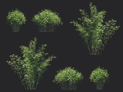 Lush Green Bamboo In Various Growth Forms 3d model