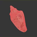 Healthy Human Organ Skin With Natural Hair Follicles And Texture Details