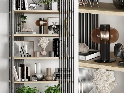 Modern Bookcase Interior With Books Decorative Pieces Green Plants And Lamp 3d model