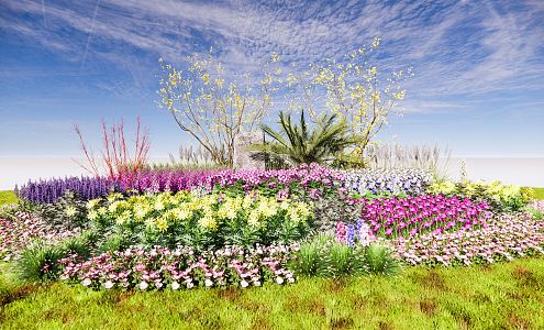 Modern shrub flower border grass flower cover ornamental grass Chimonanthus praecox fine-leaved mangeus rustococat silverwort foxalis 3d model