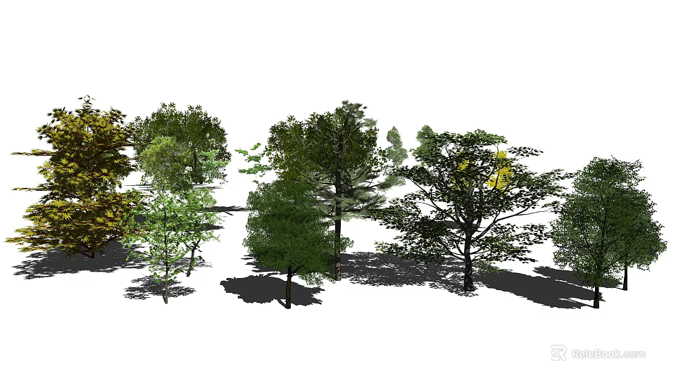 Tall Arbor Trees With Various Foliage And Shadows In Landscape Design 3d model