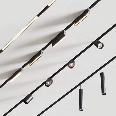 Modern Black Rail Track Mounted Downlights And Spotlights For Interior Lighting 3d model