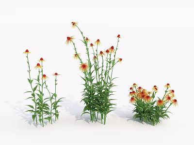 Flowering Shrubs With Green Leaves And Orange Flowers For Garden Decoration 3d model