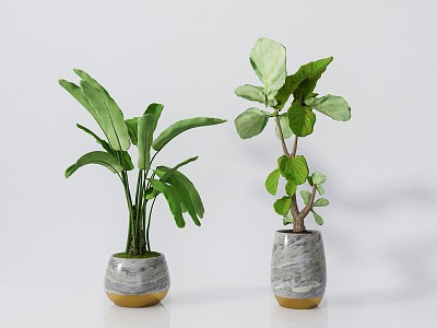 modern potted plant green plant potted plant 3d model