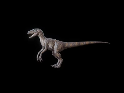 Realistic Velociraptor Dinosaur Model With Detailed Texture Standing On Black Background 3d model