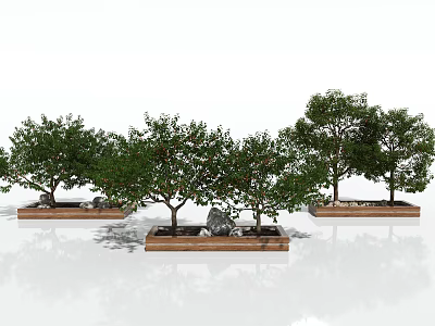 Lush Green Leafy Trees In Wooden Planters For Outdoor Landscape Design 3d model