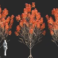 Tall Red Leaf Trees With White Human Figure Against Black Background 3d model