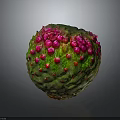 Vibrant Tropical Fruit With Green Textured Skin And Pink Protrusions On Dark Background
