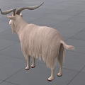 White Reptile With Long Curved Horns Standing On Gray Ground Near Glass Doors And Benches
