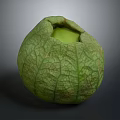 Fresh Green Fruit With Cracked Surface And Hollow Light Green Interior