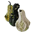 Fresh Decorative Gourds Vegetables With Various Colors Unique Shapes Isolated On White