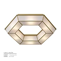 Elegant Modern Octagonal Ceiling Light With Gold Frame And White Shade 3d model