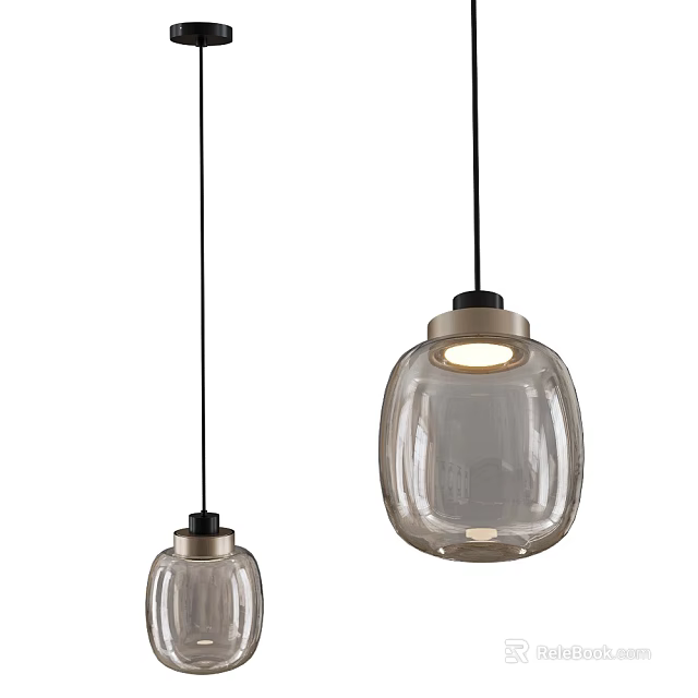 Two Modern Glass Pendant Lights With Transparent Shades And Black Hanging Cords 3d model 