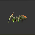 Vibrant 3D Spider Character With Green Orange Body And Spotted Legs