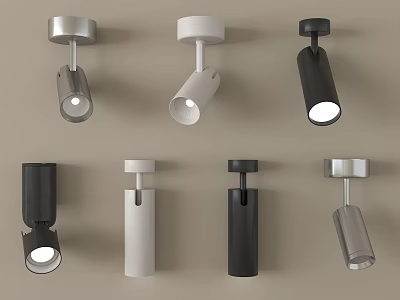 Modern Downlights and Spotlights with Silver White Black Stylish Designs for Home 3d model