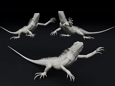 Modern gecko reptile bug four-legged animal amphibian lizard chameleon dinosaur 3d model