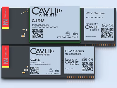 CAVLI Wireless C1RM P32 Series Industrial Wireless Communication Modules with CE FCC Certification 3d model