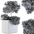Lush Arbor With Green And Brown Leaves Growing In Gray Cubic Planter