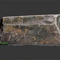 Natural Multicolor Stone with Purple Green Orange Hues Rough Surface and Green Plants