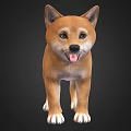 Cute Brown Shiba Inu Standing With Tongue Out On Black Background