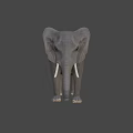 Gray Elephant Model With White Ivory Tusks Standing On Black Background