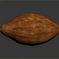 Realistic Ripe Brown Cocoa Pod With Textured Surface On Dark Background 3d model