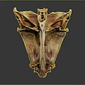 Natural Skeletal Structure With Orange Brown Tones On Dark Reflective Background