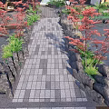 Landscape Bridge With Paved Pathway Red Trees Green Plants And Stone Decorations 3d model